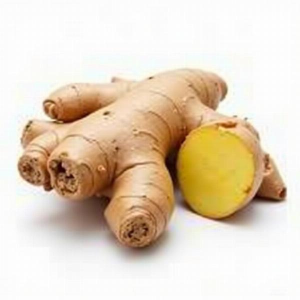 Fresh Ginger Root - An Essential Indian Spice