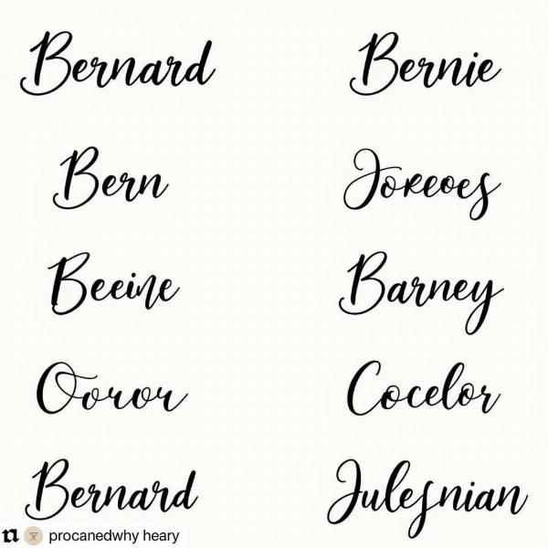 Bernard Nicknames and Variations