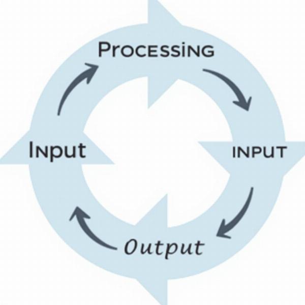 Data Processing Cycle