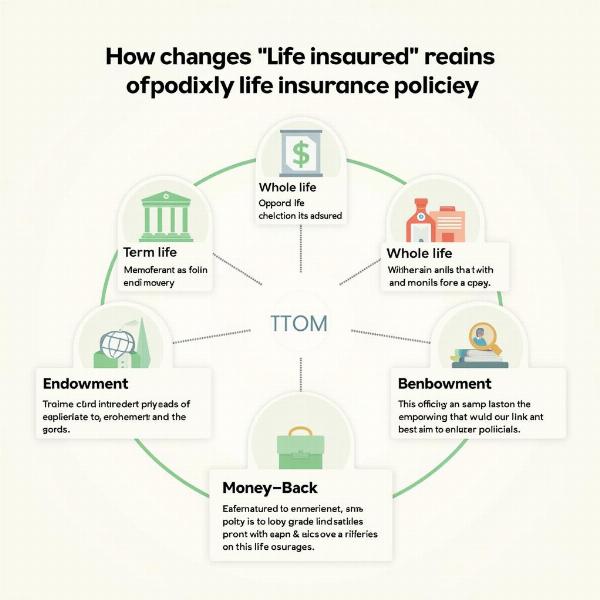 Different Types of Life Insurance Policies