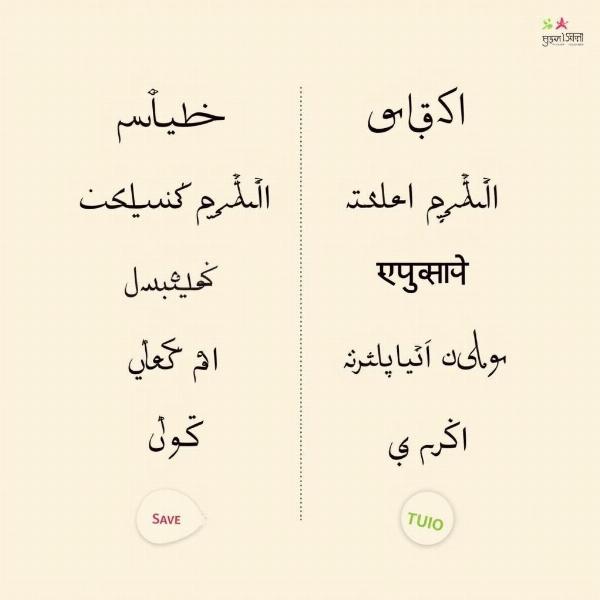 Farsi Script and Hindi Comparison