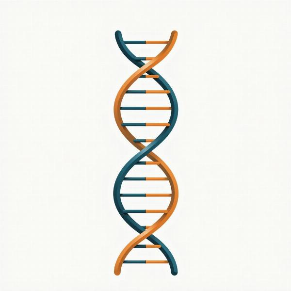 DNA Structure - Genetic Material