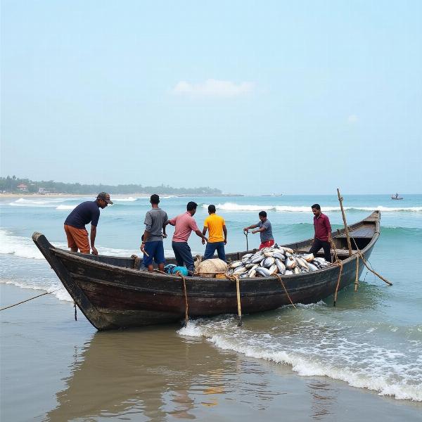 Indian Coastal Fishing