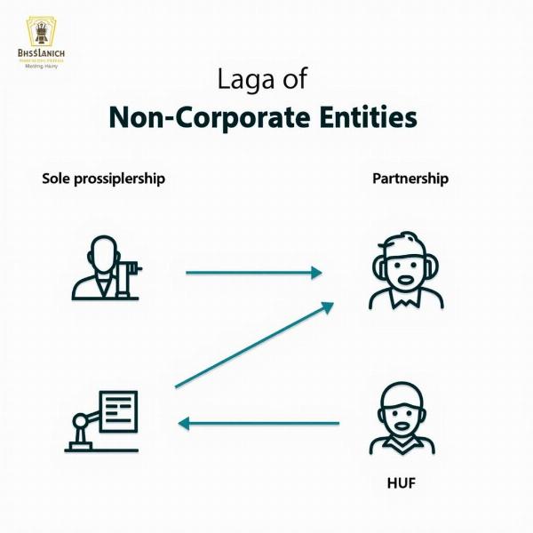 Legal structures of non-corporate entities in India