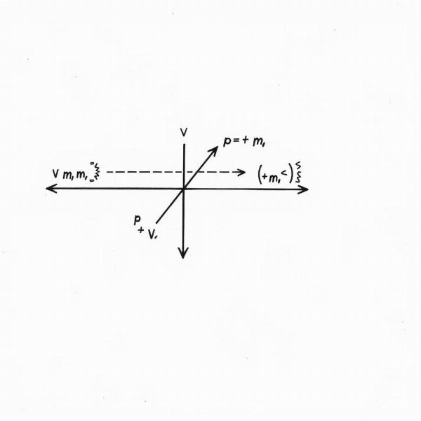 Linear Momentum Diagram