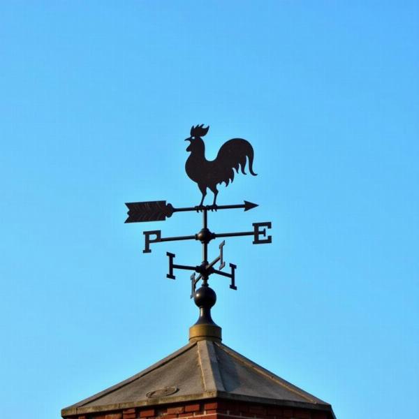 Weathercock on Rooftop