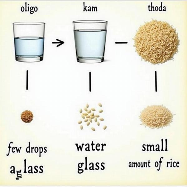 Comparing "Oligo" with Similar Hindi Terms