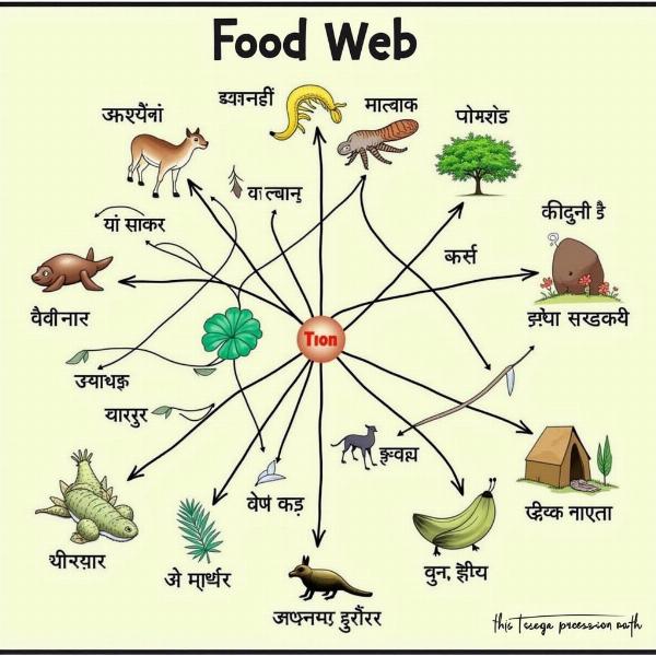 Organisms in Ecology and Biology (Hindi)