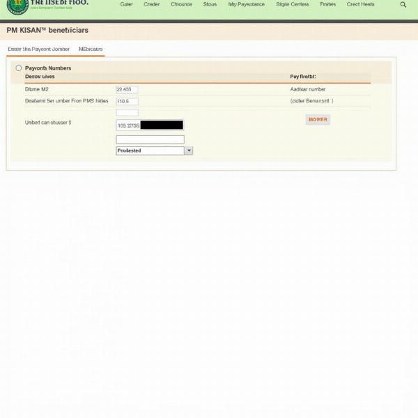 Checking PM-KISAN Installment Status Online