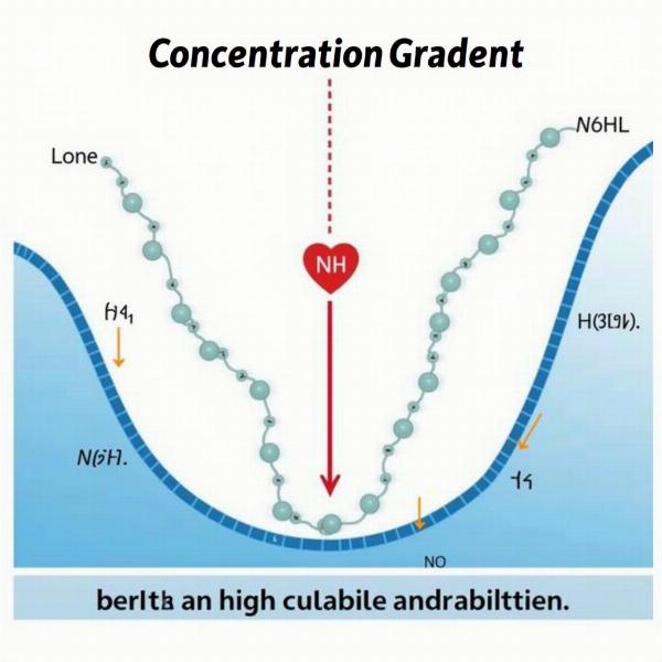 Concentration Gradient in Hindi