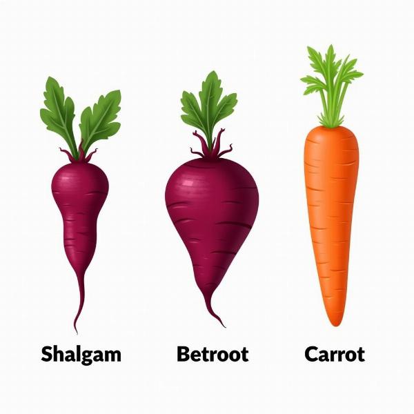 Shalgam, Beetroot, and Carrot Comparison