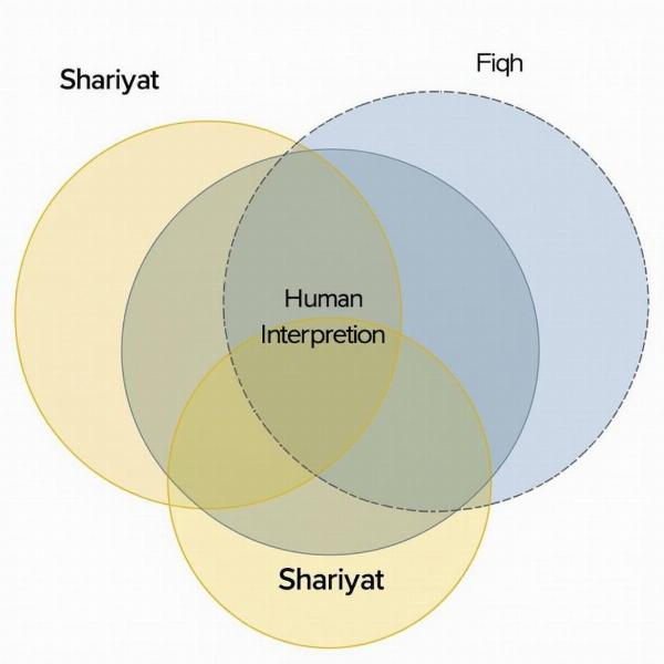 Shariyat and Fiqh: Difference and Interpretation