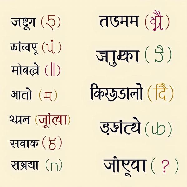 Shreeja Variations and Similar Names