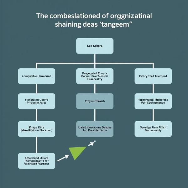 Tanzeem: Organization and Structure