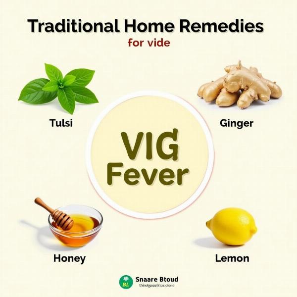 Traditional Indian remedies for fever