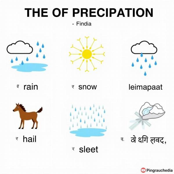 Different Types of Precipitation in Hindi