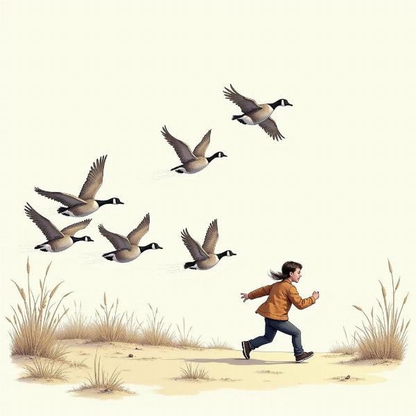 Wild Goose Chase Illustration