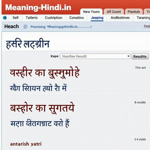 Accurate Hindi Translation of Astronaut