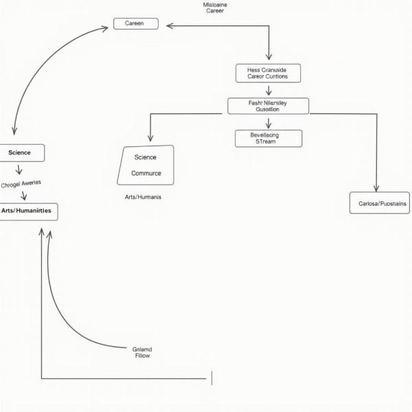 Indian Education System Streams