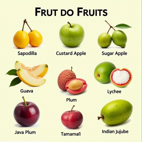 Less Common Fruits in Hindi and English