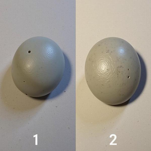 Matte vs. Glossy Finish Comparison