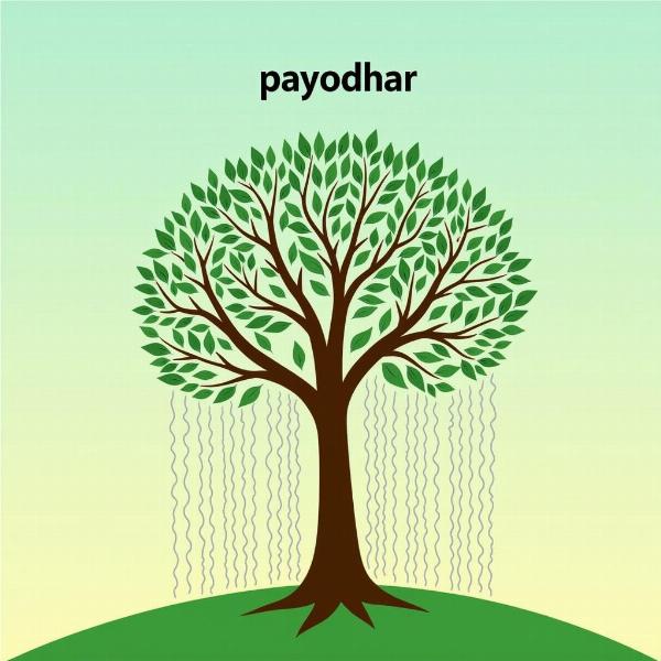 Metaphorical Representation of Payodhar