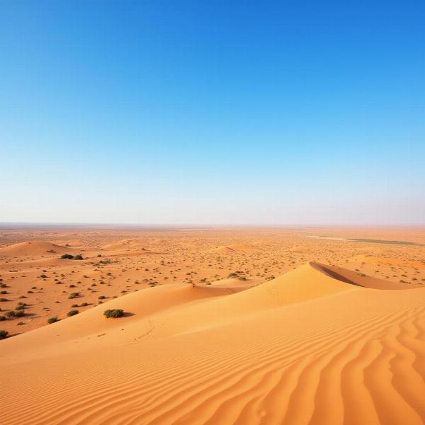 Dry Desert Landscape in Rajasthan