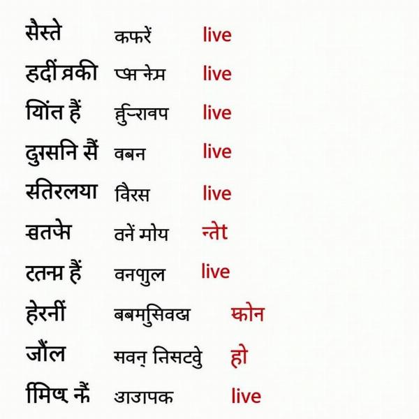 Understanding the meaning of "live" in Hindi