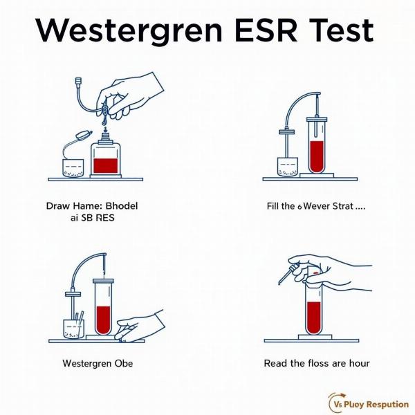 Westergren ESR Procedure