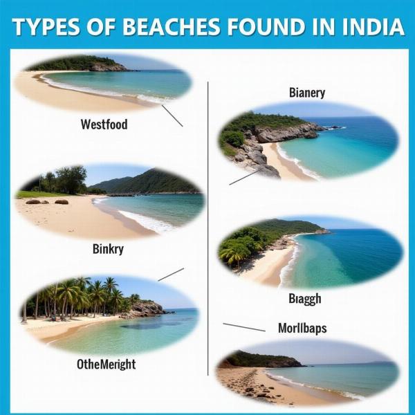 Different Beach Types in Hindi