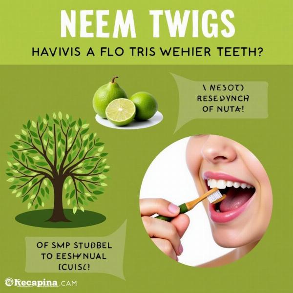 Brushing teeth with a neem twig