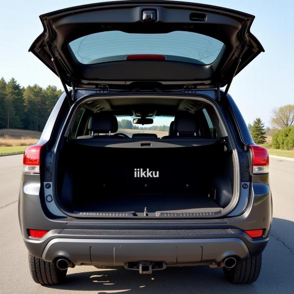 Meaning of Car Trunk (Dikki) in Hindi