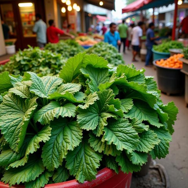 Collards in an Indian Market