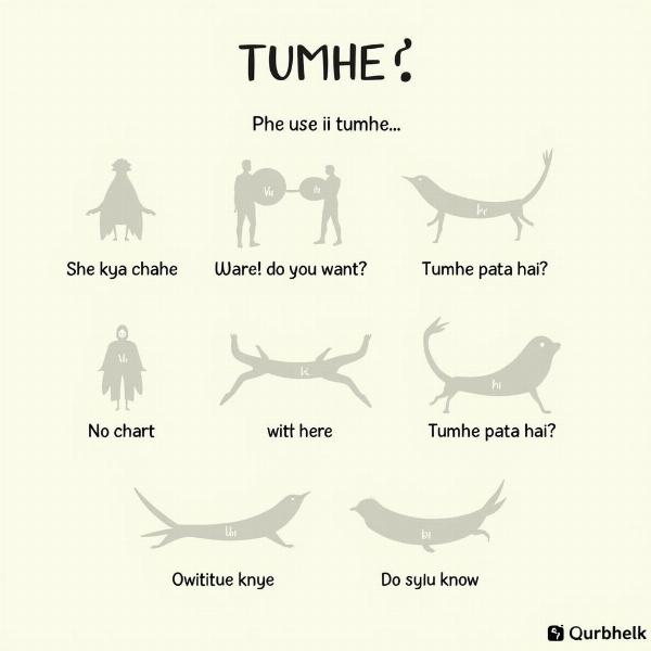 Common Phrases with Tumhe