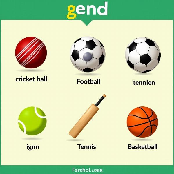 Different Types of Balls in Hindi