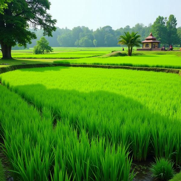 Green Colour Meaning: Nature and Prosperity