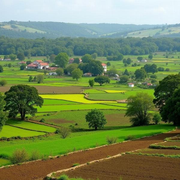 Inamgaon Village Landscape