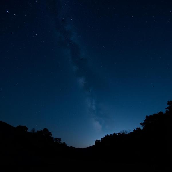 Twinkling Stars in the Night Sky