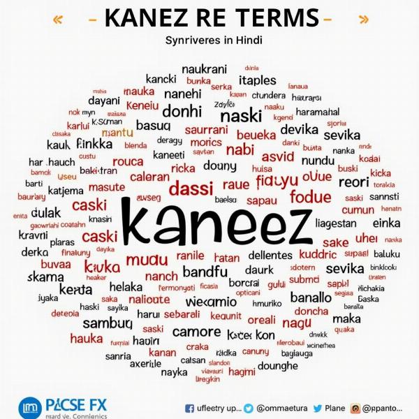 Synonyms and Related Terms for Kaneez