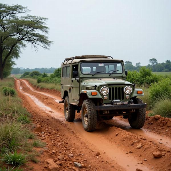 Traveling in Rural India