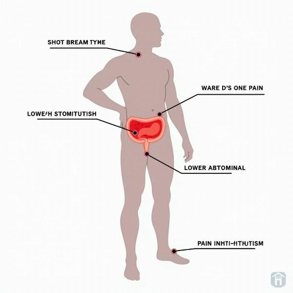 Different Types of Stomach Pain Locations