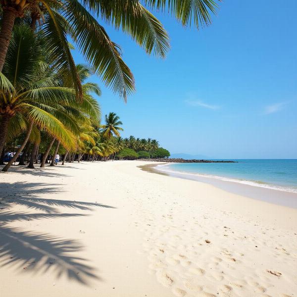 Untrodden Beach in Goa