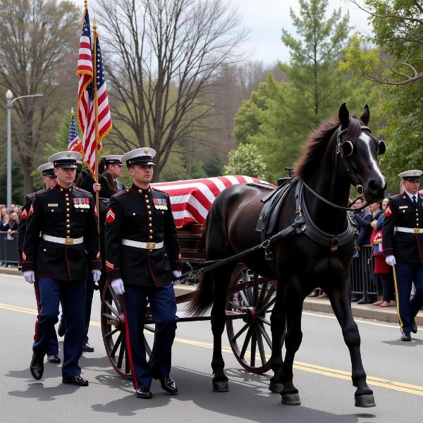 Caisson in Military Funeral