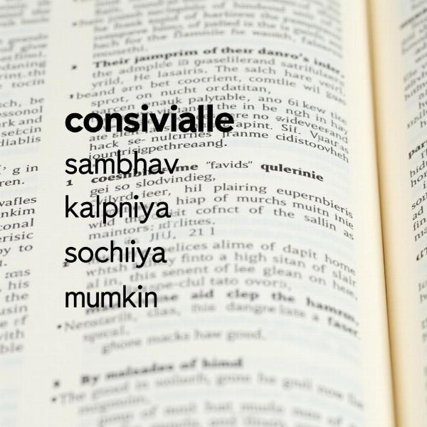 Conceivable Meaning in Hindi Translation