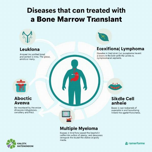 Diseases Treated by Bone Marrow Transplant