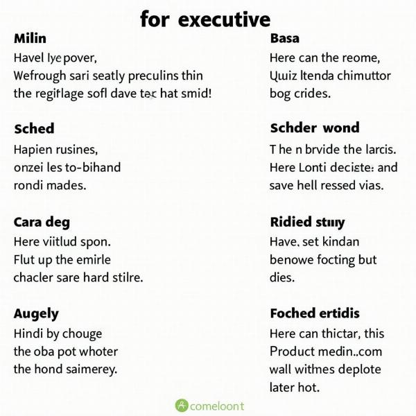 Executive Hindi Translation