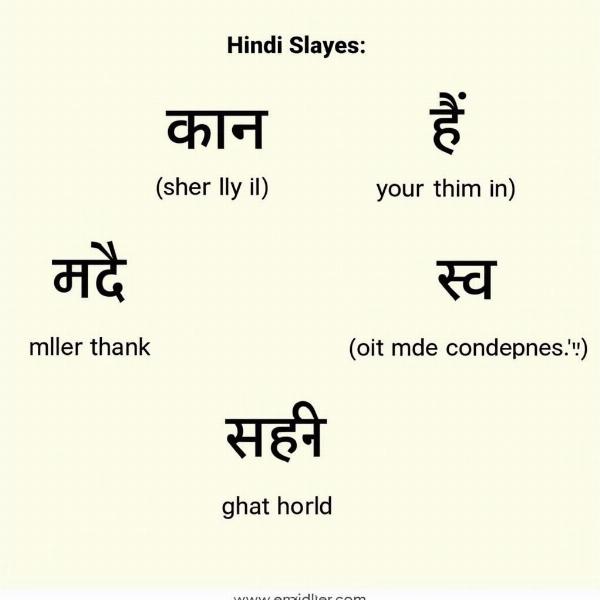 Hindi Words for Vulgarity