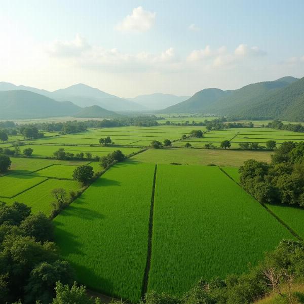 Indian Countryside Landscape