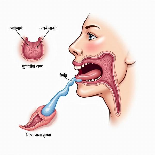 Laar Aana Meaning in Hindi: A Visual Representation