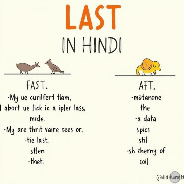 Common Phrases with "Last" in Hindi